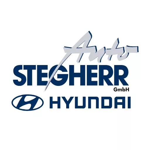 Hauptsponsor - Auto Stegherr - Hyundai